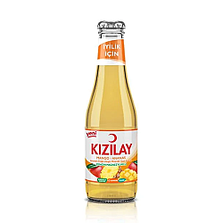 Kızılay Mango Ananas 200 ml - 
